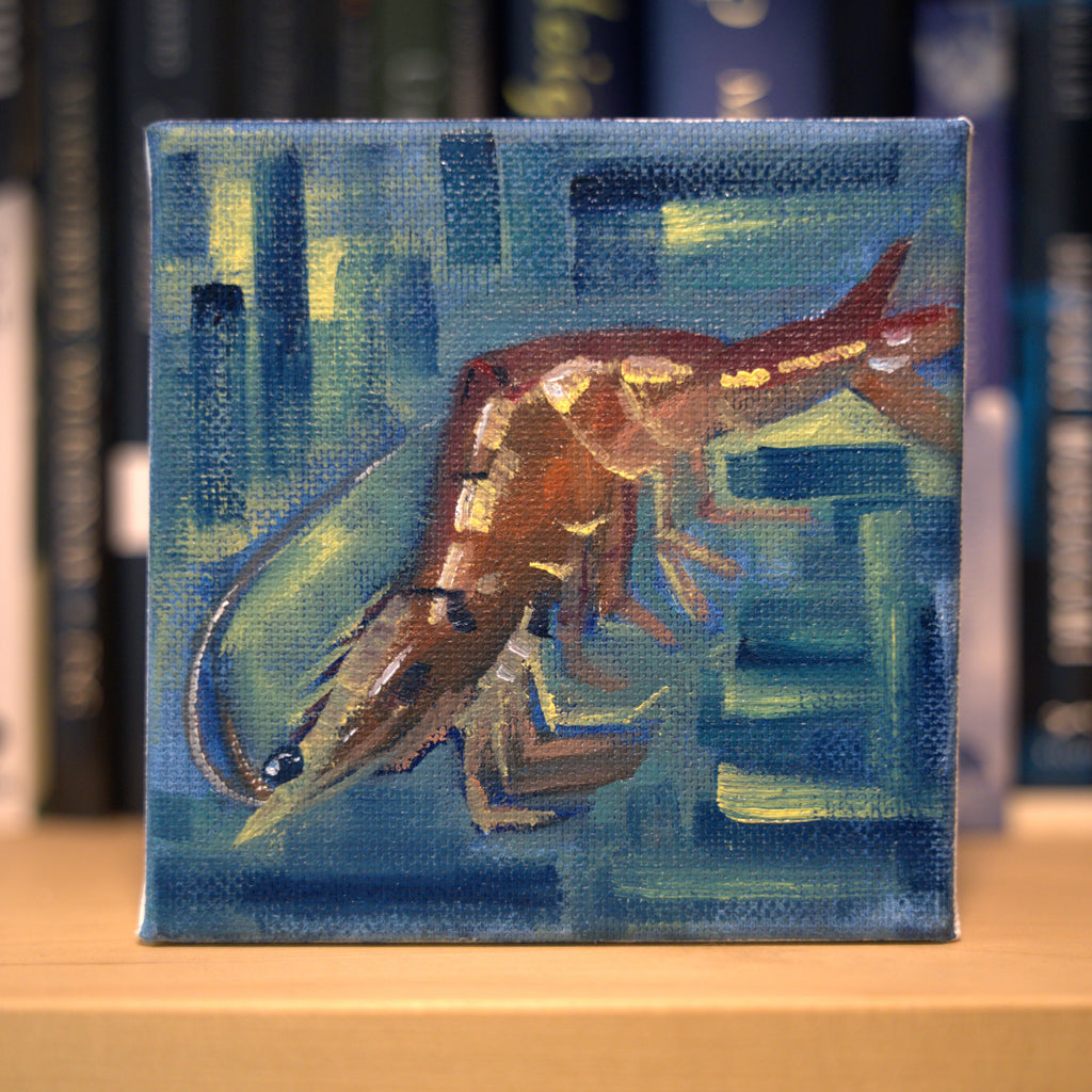 Shrimp